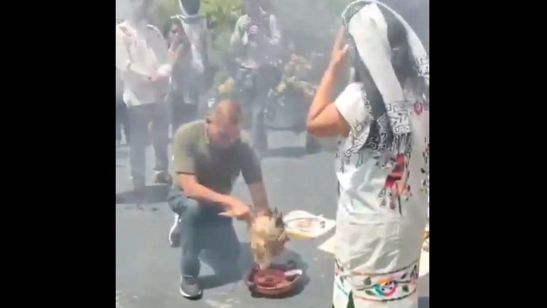 "Inaceptable": Polémica en México por el sacrificio de una gallina en el Senado