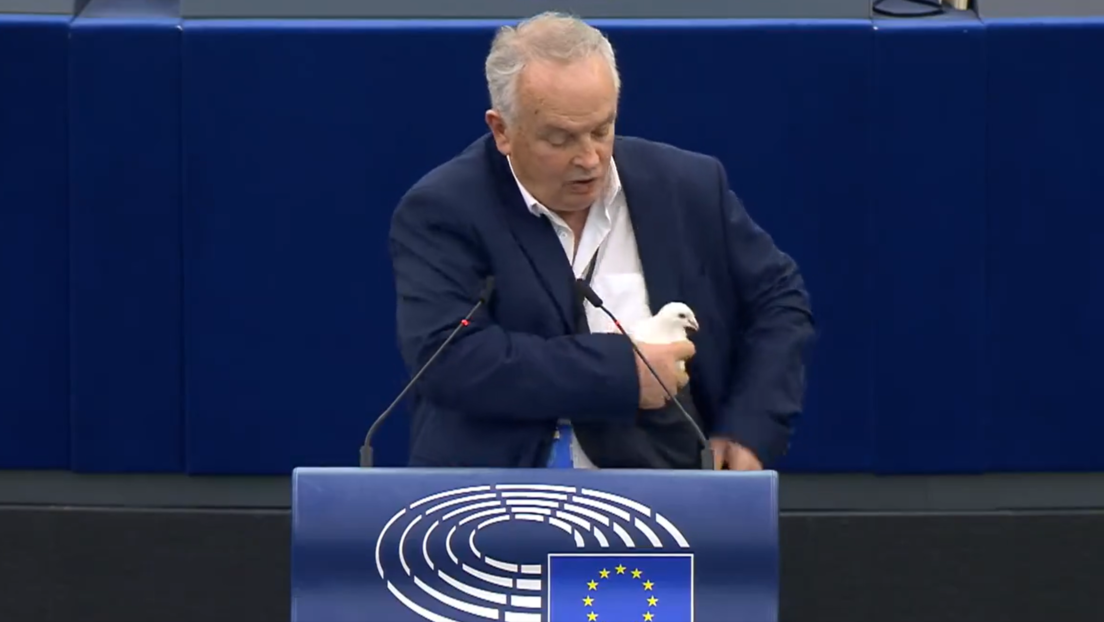 Un eurodiputado suelta una paloma en señal de paz y es criticado