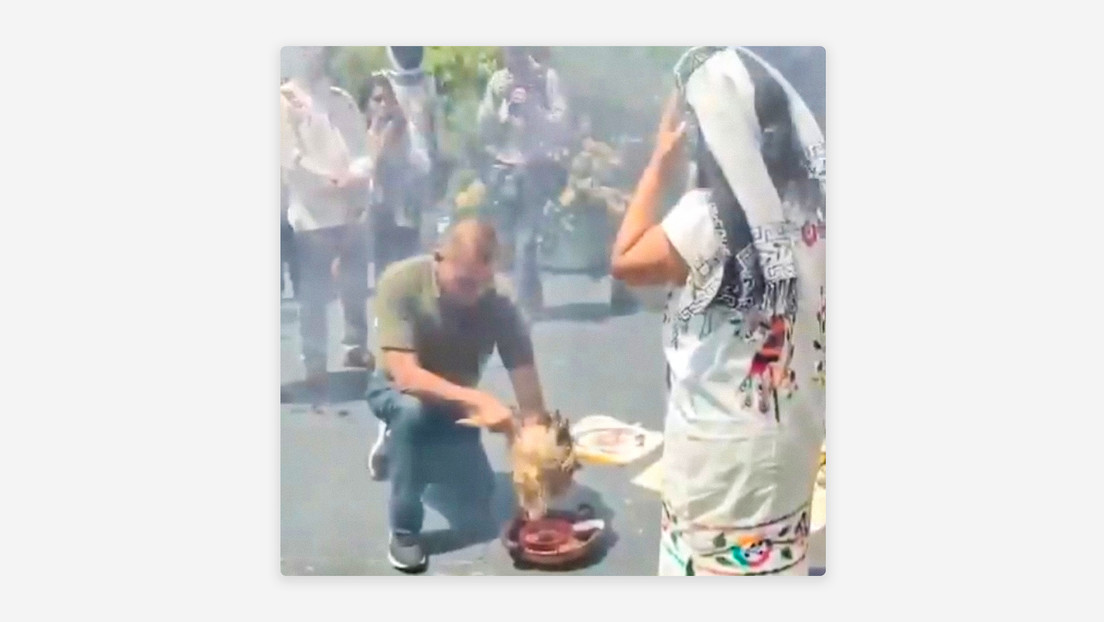 “Inaceptable”: Polémica en México por el sacrificio de una gallina en el Senado