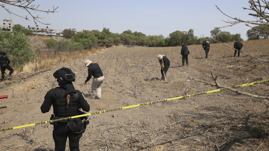Los restos hallados en el presunto crematorio clandestino en México son de origen animal