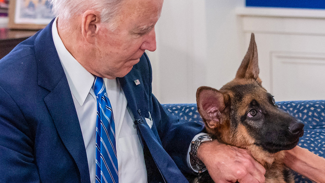 Gobernadora de Dakota del Sur propone matar al perro de Biden