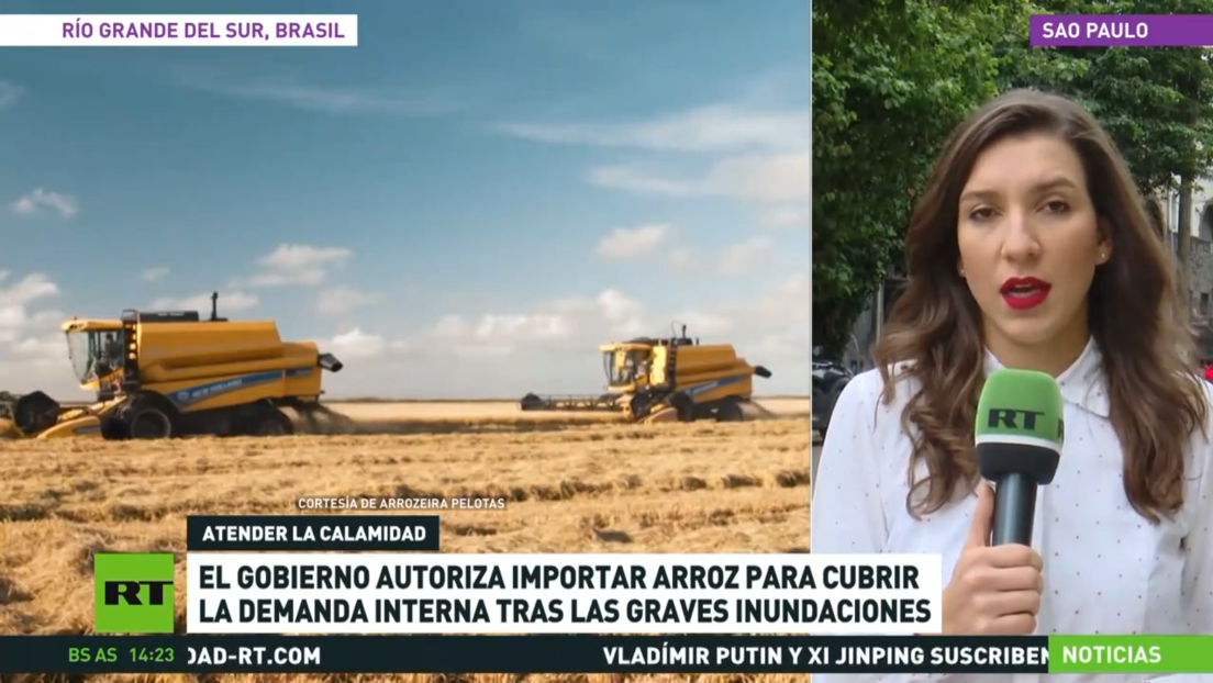 El Gobierno brasileño autoriza a importar arroz para cubrir la demanda interna tras las graves inundaciones