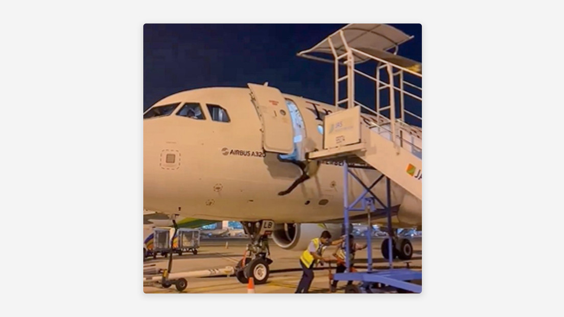VIDEO: Empleado aeroportuario cae de un avión