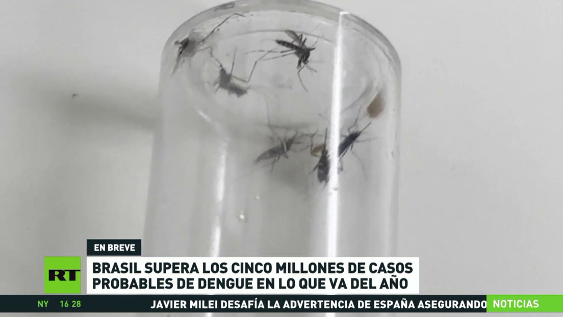 Brasil supera los 5 millones de casos probables de dengue en lo que va de año