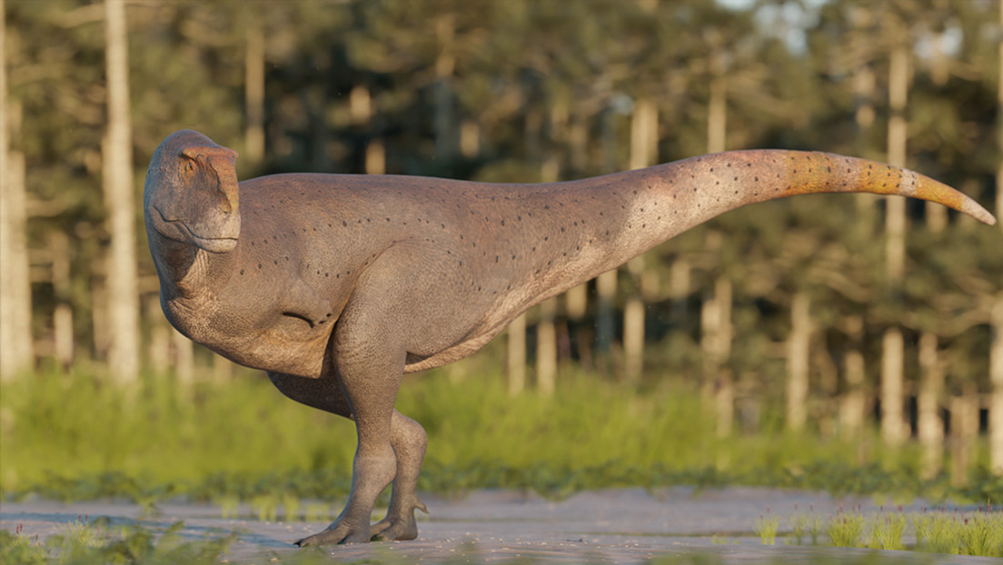Descubren nueva especie de dinosaurio con brazos diminutos en la Patagonia