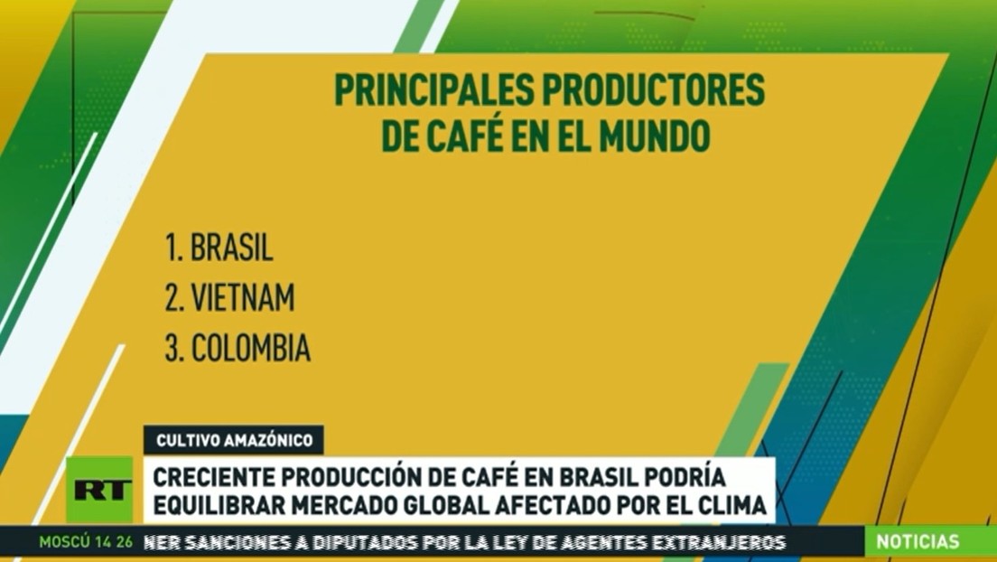 Creciente producción de café en Brasil podría equilibrar el mercado global afectado por el clima