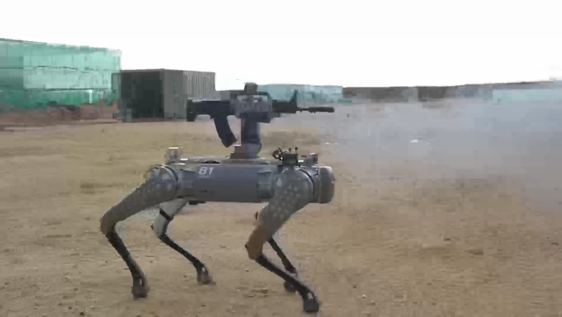 El Ejército chino 'saca a pasear' sus perros robot (VIDEO)