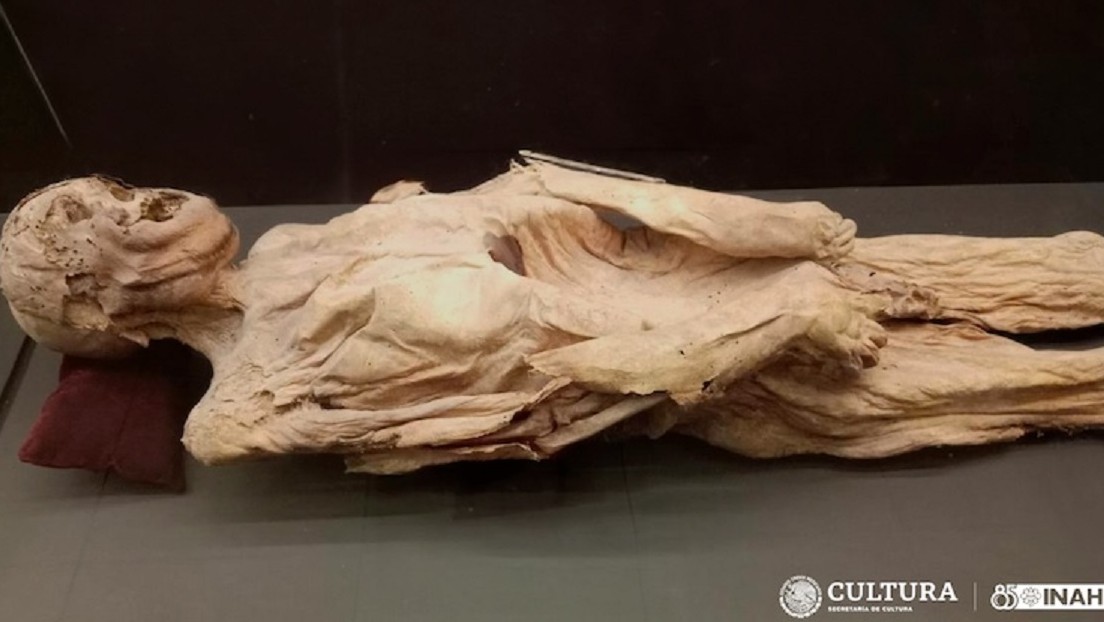 Se desprende brazo de una momia por culpa de los empleados de un museo mexicano
