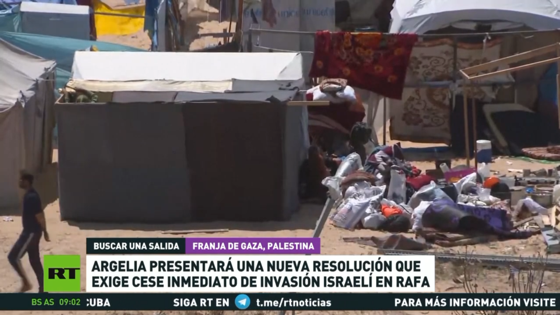 Argelia presentará ante la ONU una nueva resolución que exige el cese inmediato de la invasión israelí en Rafa