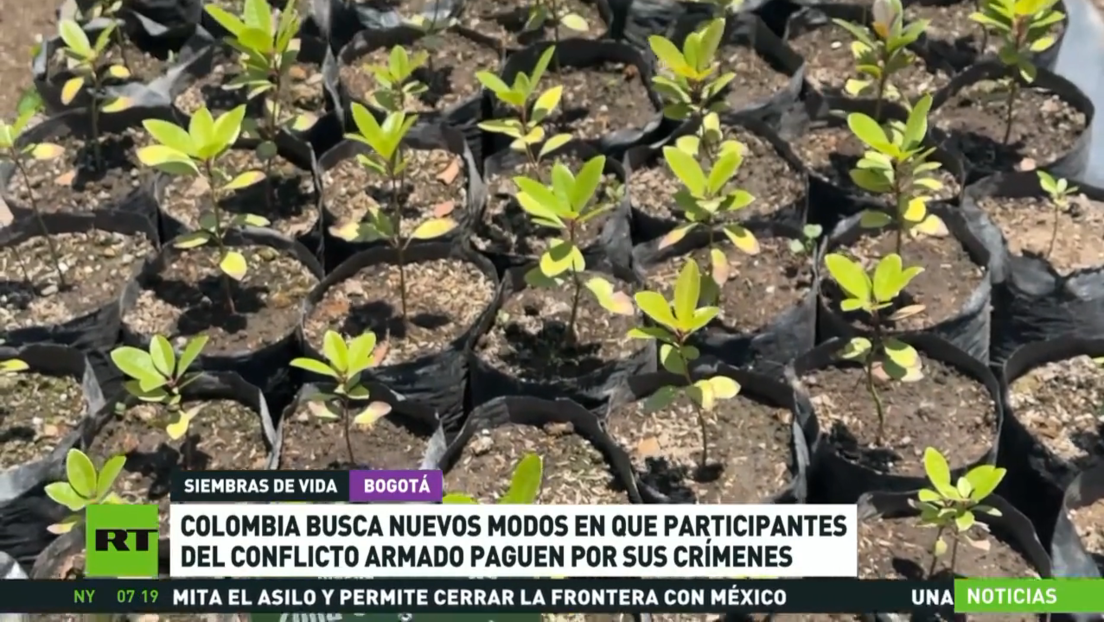 Colombia busca maneras para que participantes del conflicto armado paguen por sus crímenes
