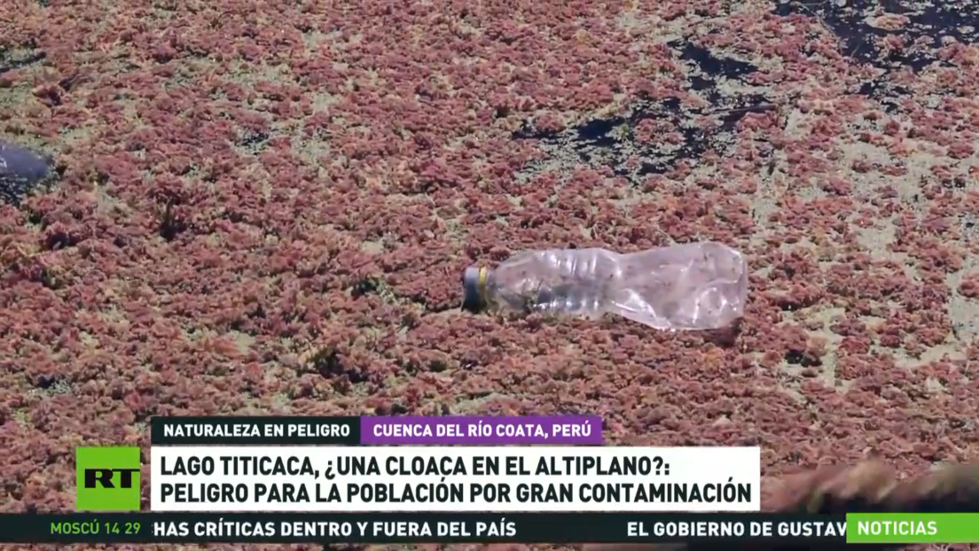 Lago Titicaca, ¿una cloaca en el altiplano?: gran riesgo para la población por contaminación