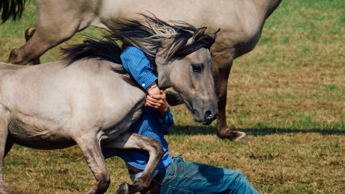 VIDEO: Roba un caballo en son de broma y pasa esto