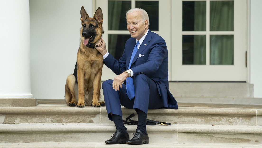 Biden habría presenciado varios ataques de su perro al personal del Servicio Secreto