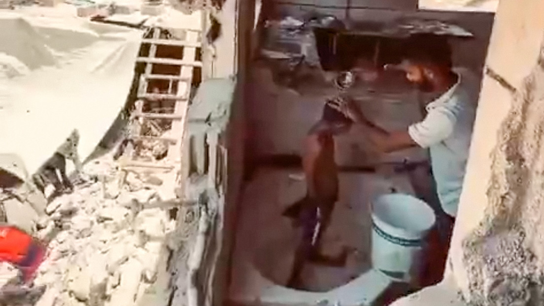 Niños entre ruinas: un video desgarrador muestra el regreso de palestinos a Jan Yunis