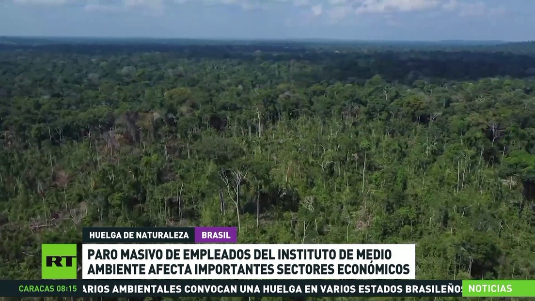 Paro en el Instituto de Medio Ambiente brasileño afecta a importantes sectores económicos