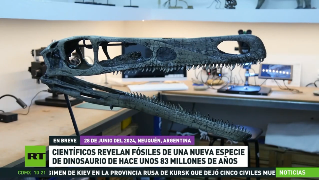 Científicos revelan fósiles hallados en Argentina de una nueva especie de dinosaurio