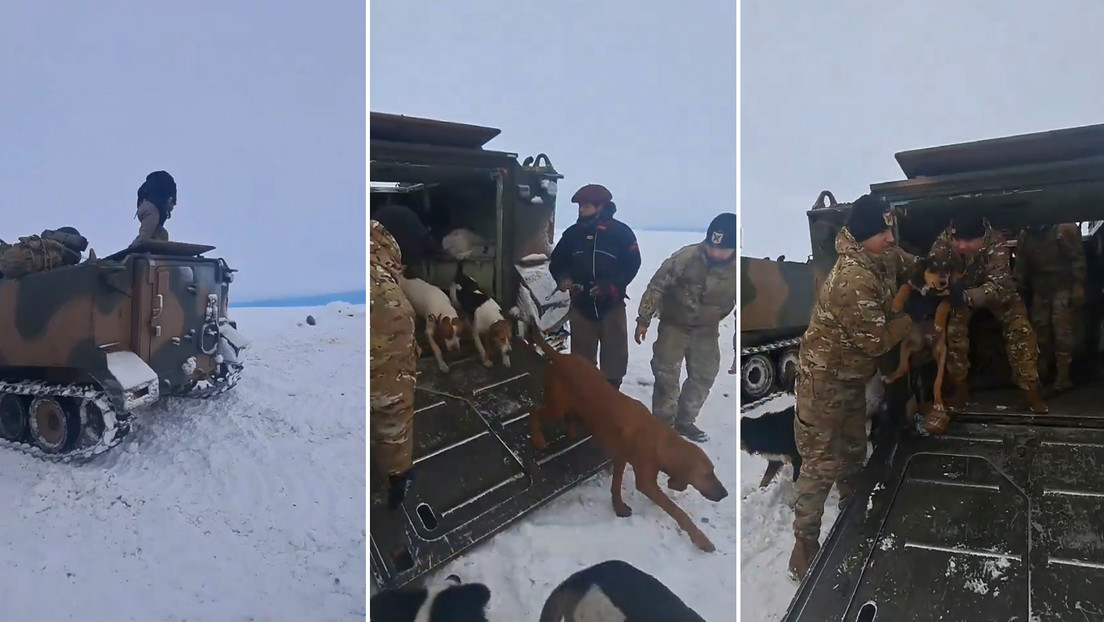 VIDEO: Conmovedor rescate de un peón y sus 13 perros tras un mes atrapados en la nieve