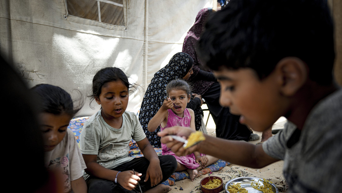 Expertos de la ONU: la campaña de "hambruna selectiva" de Israel mata a niños en Gaza