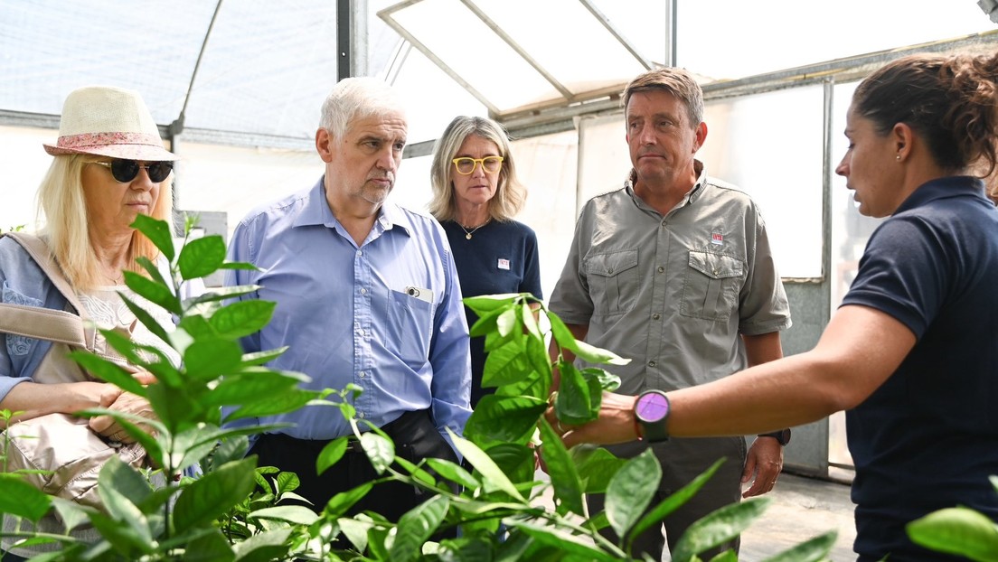 Renuncia el secretario de Agricultura de Milei