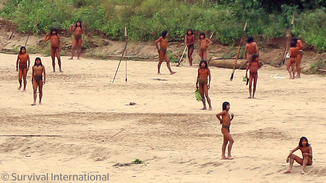 Video inédito de un pueblo indígena no contactado que está en peligro por empresas madereras