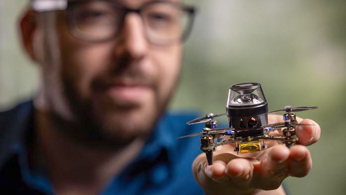 Crean un minirobot inspirándose en hormigas