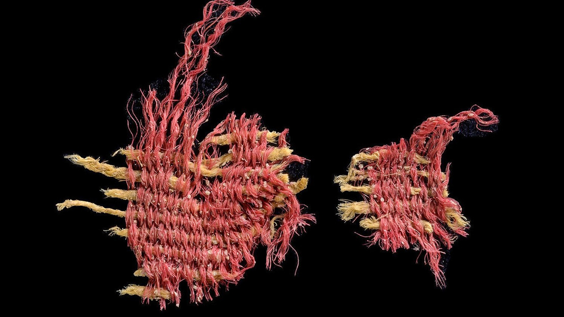 Hallan en Israel un tejido teñido con gusanos que la Biblia menciona 25 veces