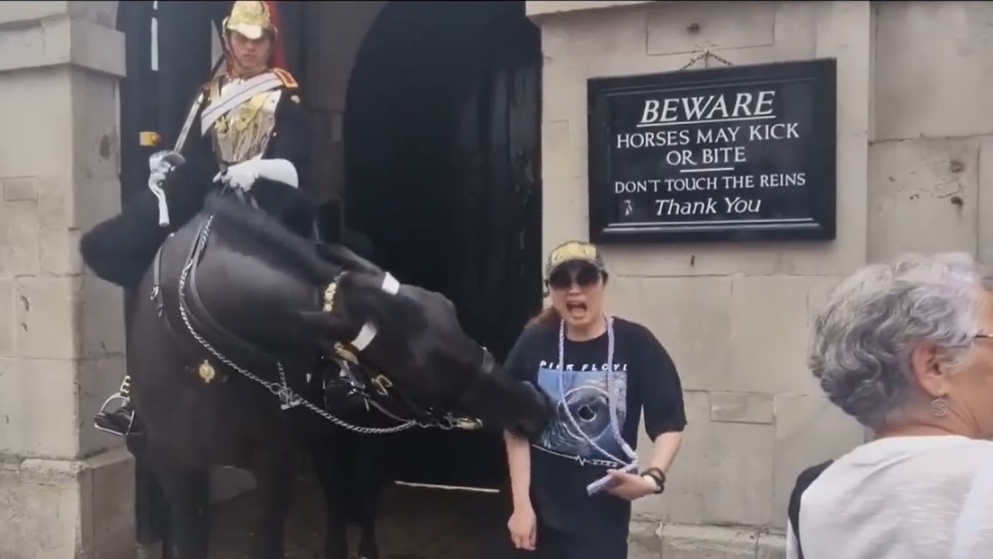 "Pensé que se iba a desmayar": Un caballo de la Guardia real británica muerde a una turista (VIDEO)