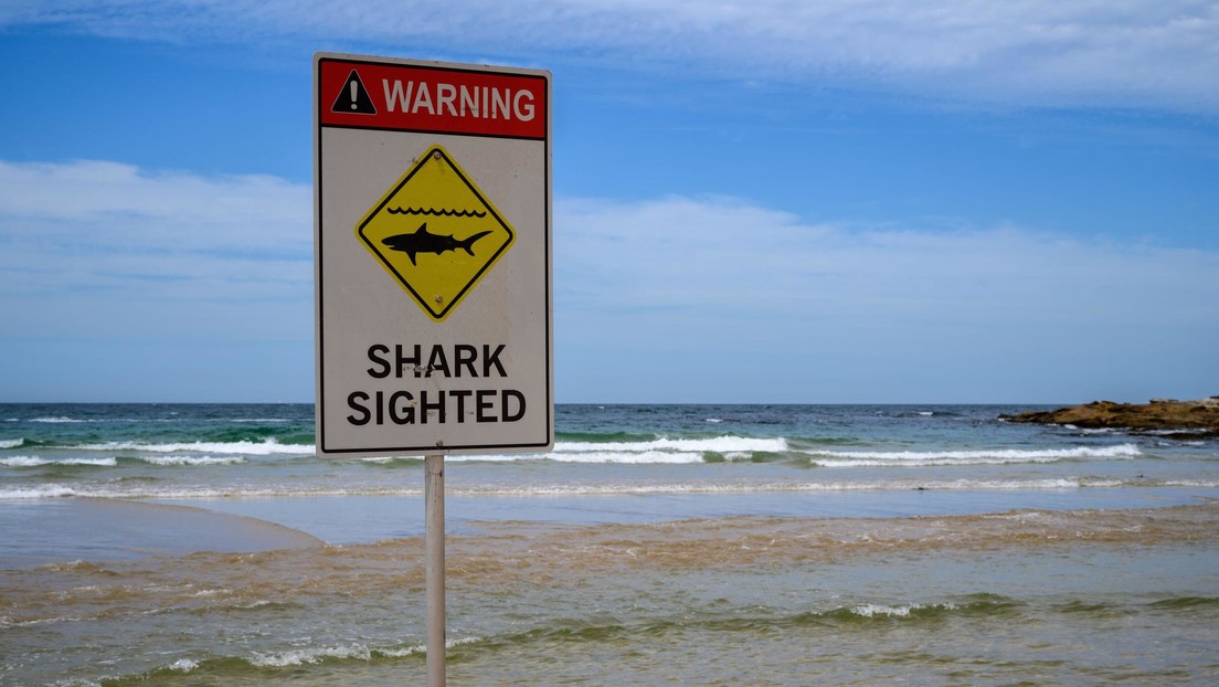 Un tiburón de tres metros le arranca una pierna a un surfista en Australia