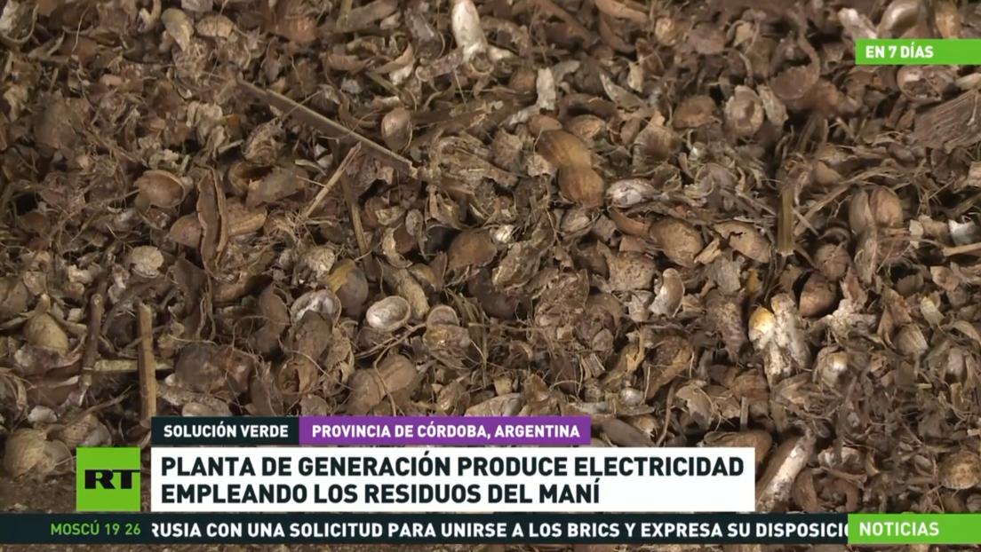 En Argentina, una planta de generación produce electricidad empleando los residuos del maní