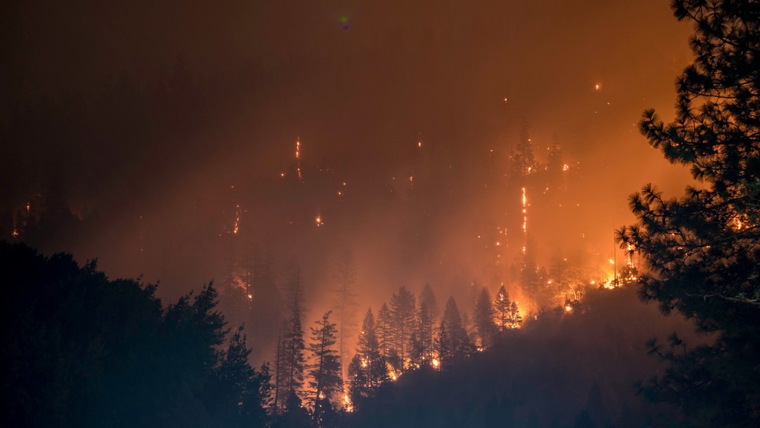 Estudio: El humo de incendios forestales aumenta el riesgo de demencia