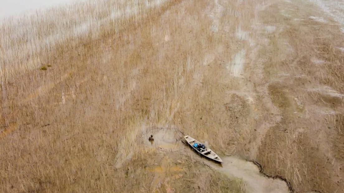 Aislamiento, inflación y comunidades indígenas en riesgo: la Amazonía brasileña al límite