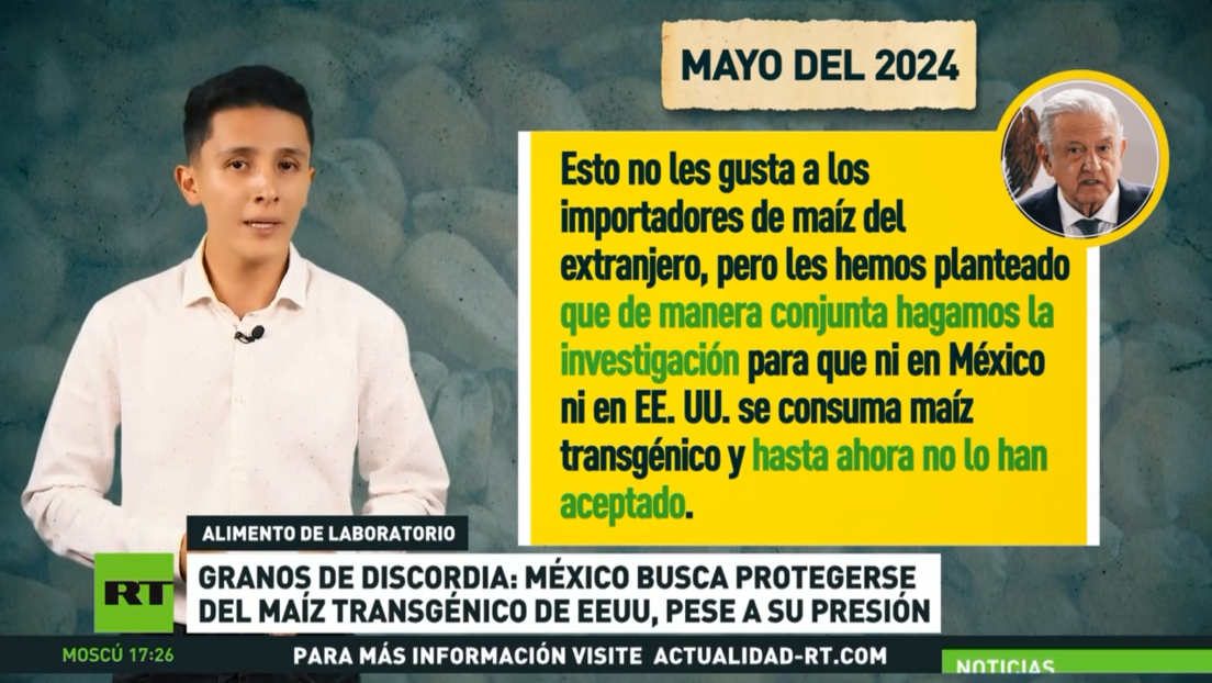 Granos de discordia: México busca protegerse del maíz transgénico de EE.UU., pese a su presión