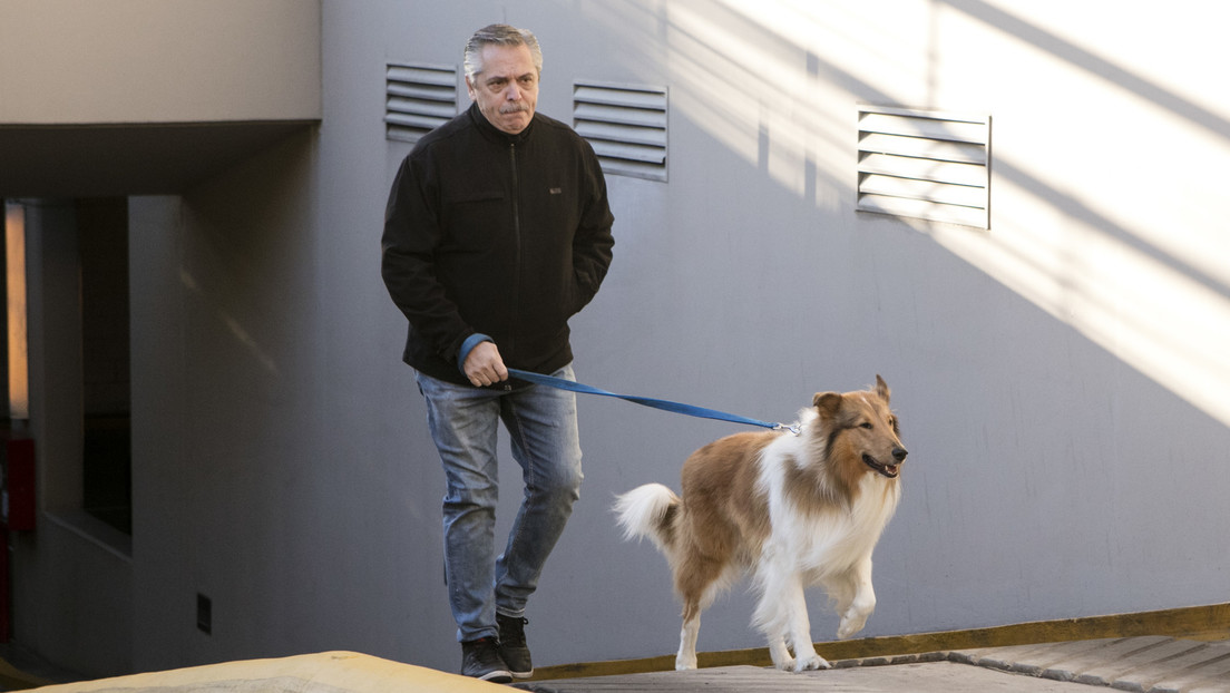 "Él será bienvenido": Milei se ofrece para cuidar al perro de Alberto Fernández