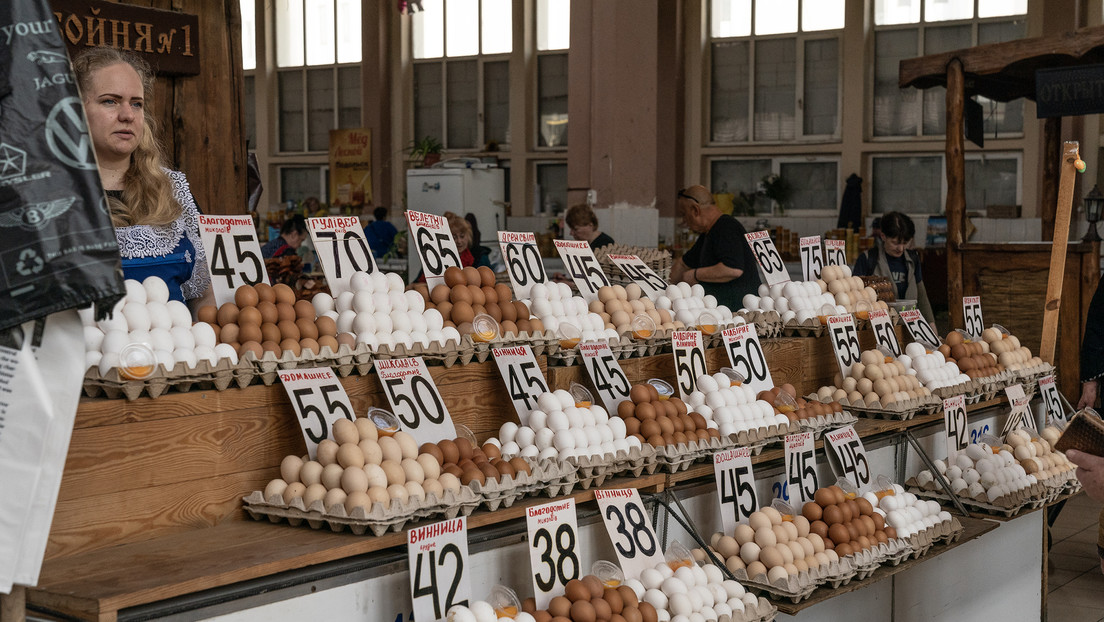 Avicultores búlgaros exigen prohibir las importaciones de huevos ucranianos