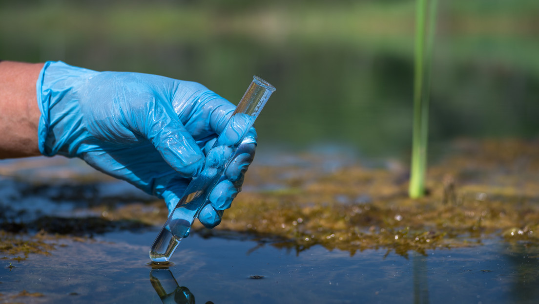 Revelan la chocante escala de contaminación fecal en el agua