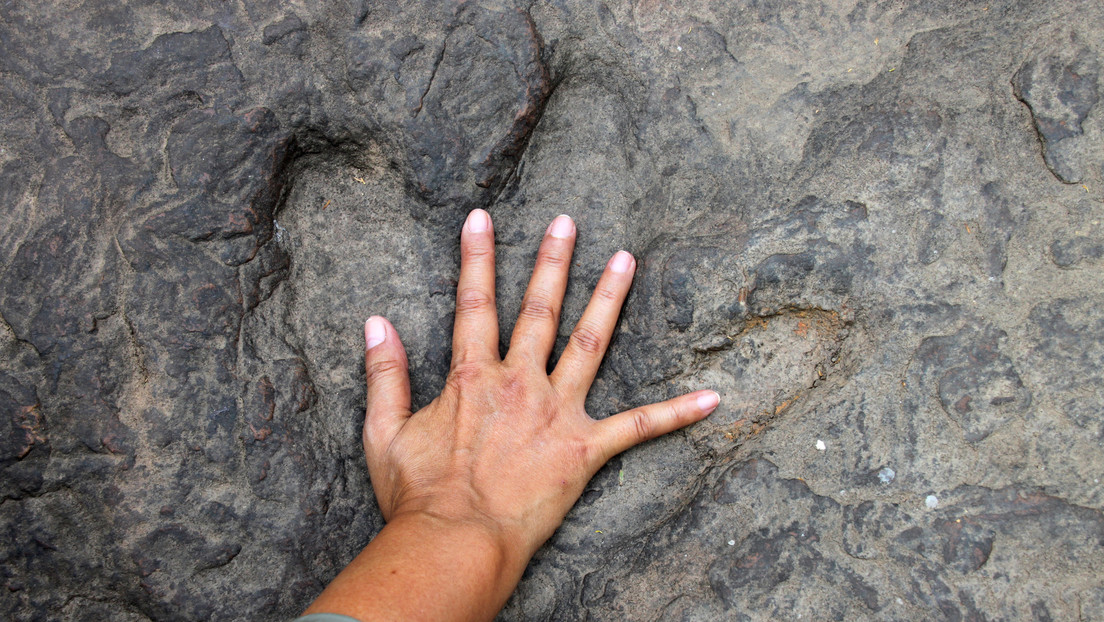 FOTOS: Una niña encuentra huellas de dinosaurio cuando paseaba por la playa