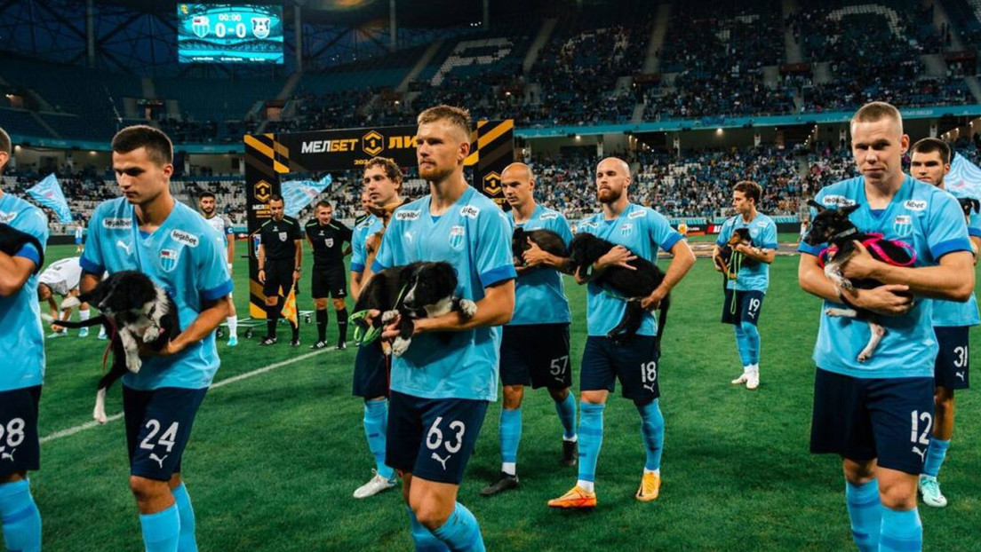 Equipo ruso de fútbol sorprende al salir a la cancha con perros sin hogar  (VIDEO)