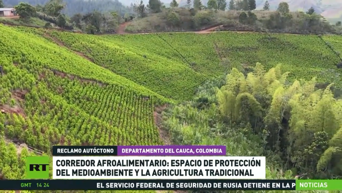 Corredor afroalimentario: espacio de protección del medioambiente y la agricultura nacional de Colombia