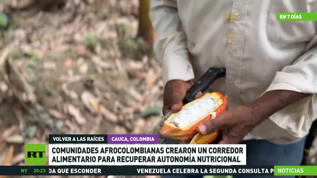 Comunidades afrocolombianas crearon un corredor alimentario para recuperar su autonomía nutricional