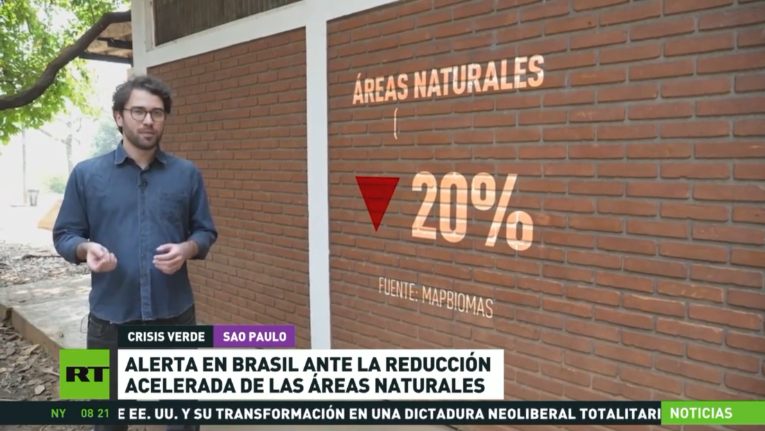 Alerta en Brasil ante la reducción acelerada de áreas naturales