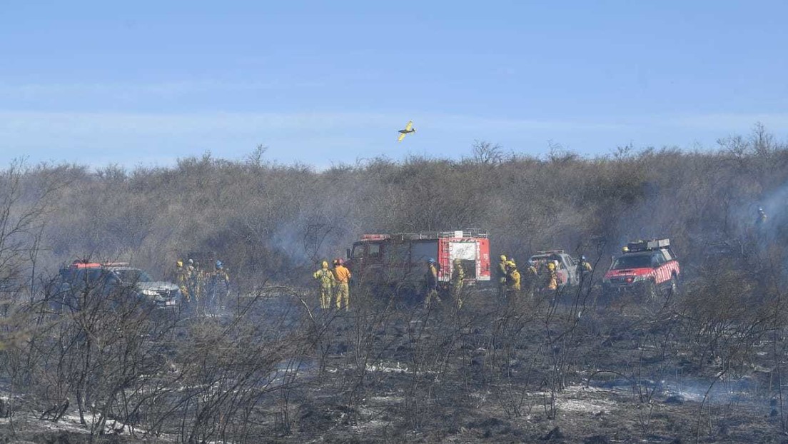 Estado de desastre y 12.000 hectáreas perdidas: incendios fuera de control en una provincia argentina (VIDEO)