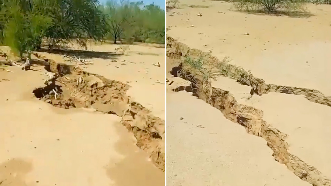 VIDEO: Una repentina grieta gigante se traga a varios becerros en un desierto mexicano