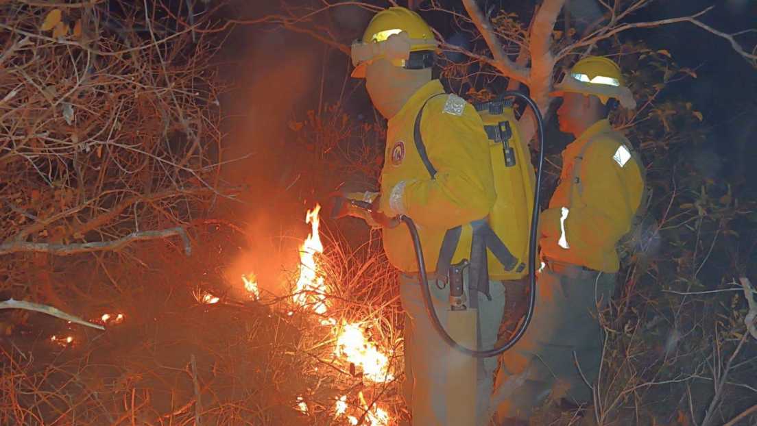 Bolivia declara emergencia nacional por los intensos incendios forestales