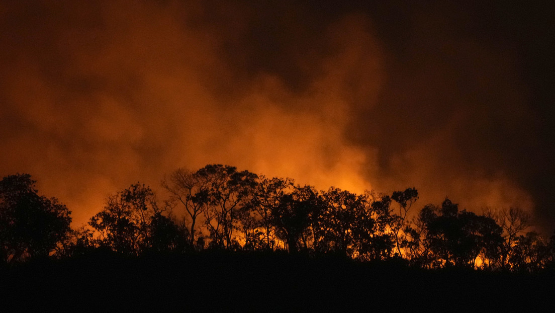 El humo de los incendios en la Amazonía llega a Argentina: advierten sobre riesgos para la salud