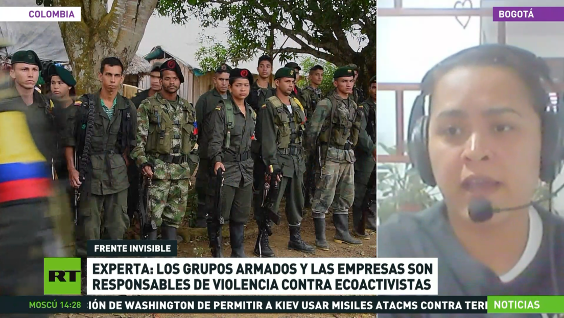 Experta: Grupos armados y empresas son responsables de la violencia contra ecoactivistas colombianos