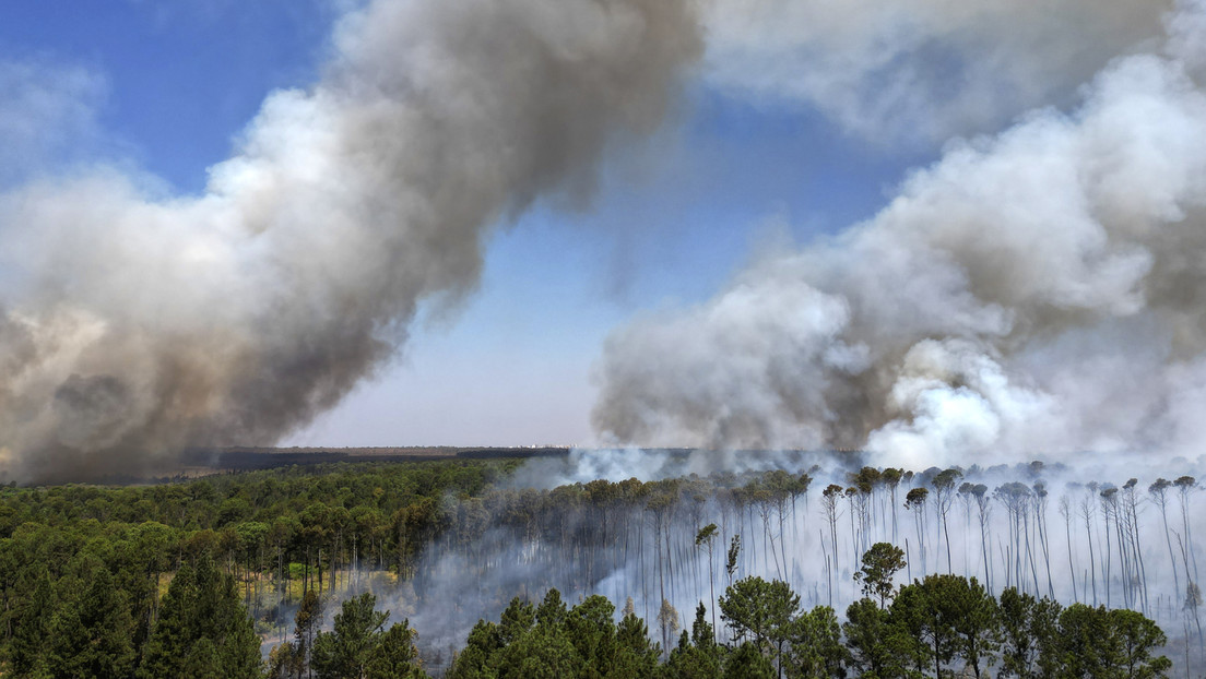 Los estragos de la “auténtica pandemia” de sequía, incendios y humo que azota a Brasil