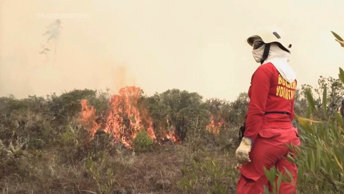 ¿Política racista? Gobierno de Perú responsabiliza a los indígenas por los incendios