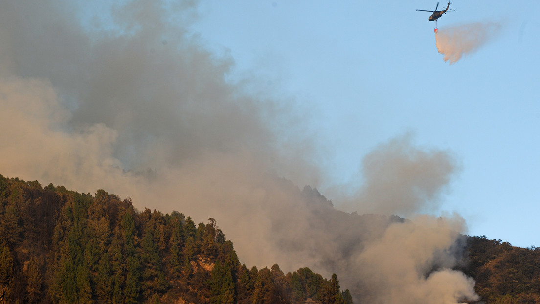 Fuego con fuego: la curiosa propuesta para combatir incendios en Colombia