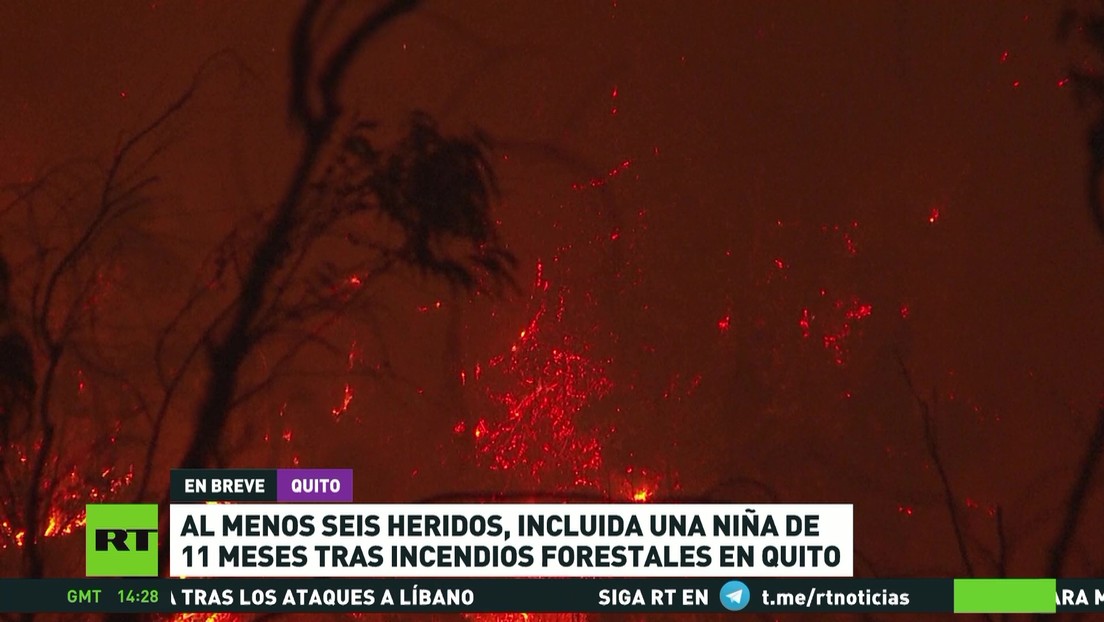 Incendios forestales en Quito dejan seis heridos, incluida una niña de 11 meses