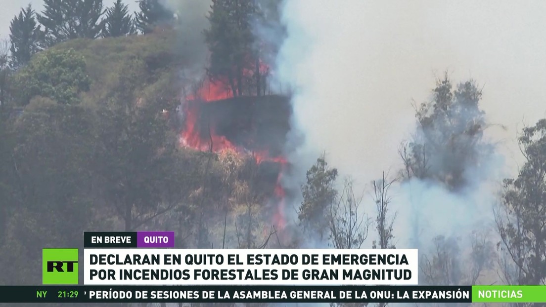 Declaran en emergencia la capital de Ecuador por incendios forestales